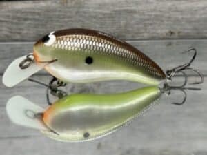 Black Label Balsa - Turbo - Custom Balsa Crankbait - Slick Color