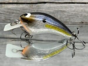 Black Label Balsa - Speedy - Signature Series Hybrid Squarebill Crankbait - Foiled Threadfin Color