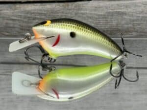 Black Label Balsa - Speedy - Hybrid Squarebill Crankbait - Plemmons Color