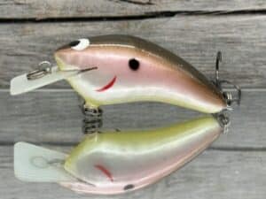 Black Label Balsa - Speedy - Hybrid Squarebill Crankbait - Tomato Shad Color