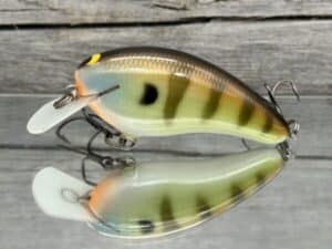 Black Label Balsa - Turbo - Custom Balsa Crankbait - Bold Bluegill Color