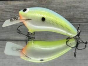 Black Label Balsa - Speedy - Hybrid Squarebill Crankbait - Citrus Candy Color