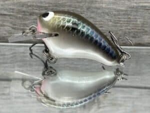 Black Label Balsa - Runt- Custom Balsa Crankbait - Bad Shad Color