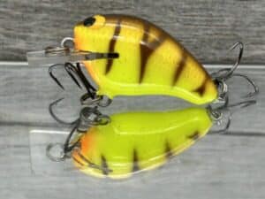 Black Label Balsa - Runt- Custom Balsa Crankbait - Spring Tiger Color