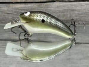 Black Label Balsa - Speedy - Hybrid Squarebill Crankbait - Money Shad Color