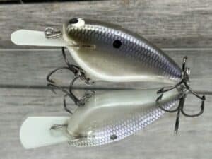 Black Label Balsa - Bacon MR - Balsa Crankbait - American Shad Color