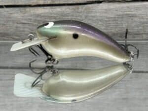 Black Label Balsa - Speedy - Hybrid Squarebill Crankbait - Bone Gizzard Color