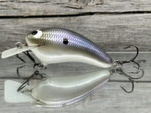 Black Label Balsa - Speedy - Hybrid Squarebill Crankbait - American Shad Color