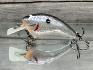 Black Label Balsa - Speedy - Signature Series Hybrid Squarebill Crankbait - Foiled Electric Shad