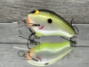 Black Label Balsa - Runt- Custom Balsa Crankbait - Plemmons Color