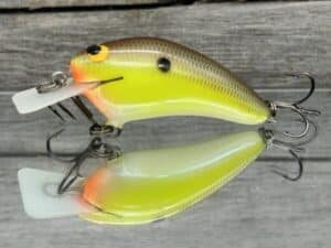 Black Label Balsa - Speedy - Hybrid Squarebill Crankbait - River Bream Color