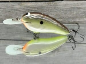 Black Label Balsa - Little Cliffie - Custom Balsa Crankbait - Slick Color