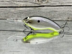 Black Label Balsa - Tapout Jr - Signature Series Custom Balsa Crankbait - Foiled American Shad Chartreuse Belly Color