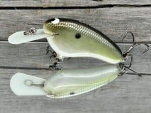 Black Label Balsa - Hickster MR- Balsa Crankbait - Money Shad Color