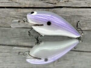 Black Label Balsa - BL 1.5 - Balsa Squarebill - Purple Ghost Color