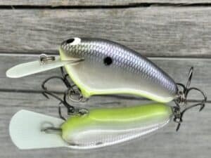 Black Label Balsa - Hickster MR- Balsa Crankbait - American Shad Chartreuse Belly Color