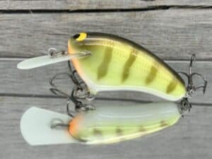 Black Label Balsa - Hickster MR- Balsa Crankbait - Faded Perch Color