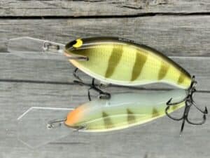 Black Label Balsa - Tapout - Custom Balsa Crankbait - Faded Perch Color