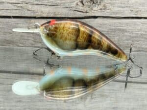 Black Label Balsa - Slim Signature Series Balsa Crankbait - Blue Belly Camo Craw Color