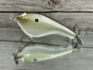 Black Label Balsa - Tease Signature Series - Custom Balsa Topwater Prop - Foiled Money Shad Color