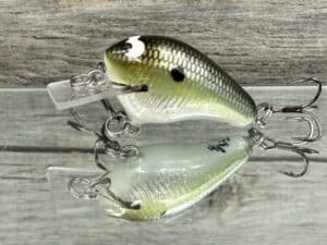 Black Label Balsa - Runt- Signature Series - Custom Balsa Crankbait - Foiled Money Shad Color