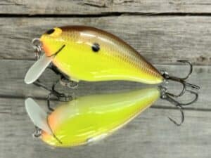 Black Label Balsa - BL 1.5 SSR - Balsa - River Bream Color