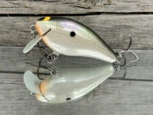 Black Label Balsa - BL 1.5 SSR - Balsa - Gizzard Shad Pearl Color