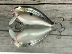 Black Label Balsa - BL 1.5 SSR - Balsa - Bad Shad Color