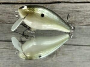 Black Label Balsa - BL 1.5 SSR - Balsa - Money Shad Color