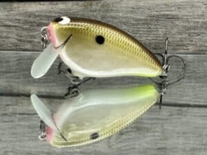 Black Label Balsa - Bacon SSR - Balsa Crankbait - Cliff's Secret Color