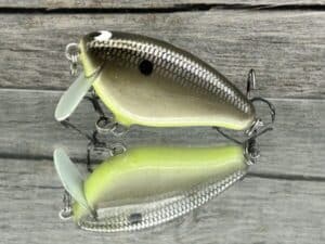 Black Label Balsa - Bacon SSR - Balsa Crankbait - Bone Shiner Color