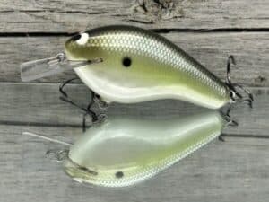 Black Label Balsa - Bully - Custom Balsa Squarebill Crankbait - Money Shad Color