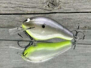 Black Label Balsa - Bully - Custom Balsa Squarebill Crankbait - American Shad Chartreuse Belly Color