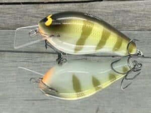 Black Label Balsa - Bully - Custom Balsa Squarebill Crankbait - Faded Perch Color