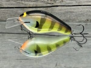 Black Label Balsa - Bully - Custom Balsa Squarebill Crankbait - Bold Bluegill Color