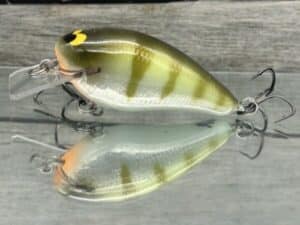 Black Label Balsa - BL 1.5 - Signature Series - Foiled Perch Color