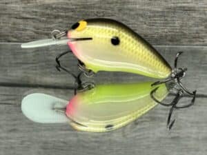 Black Label Balsa - Fat Little Cliffie - Custom Balsa Crankbait - Bone Shad Color