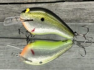 Black Label Balsa - Head Hunter - Signature Series Crankbait - Foiled Plemmons - Zoom WEC E-2