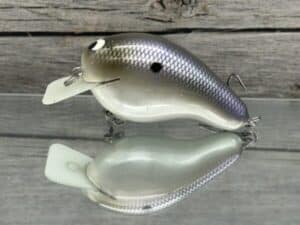 Black Label Balsa - CBS 2 - Custom Balsa Squarebill Crankbait - American Shad Color- Bagley B2