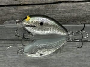 Black Label Balsa - Badger - Custom Balsa Crankbait - Gizzard Shad Foil Color