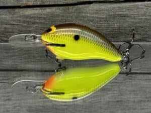 Black Label Balsa - Badger - Custom Balsa Crankbait - River Bream Color