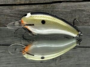 Black Label Balsa - Cricket - Custom Balsa Crankbait - Smash color