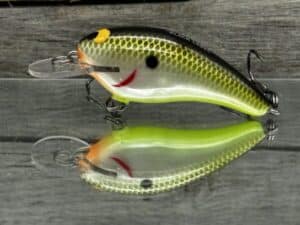 Black Label Balsa - Cricket - Custom Balsa Crankbait - Plemmons color