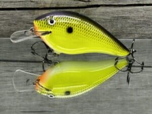 Black Label Balsa - Seducer - Custom Balsa Crankbait - Chartreuse Sunfish color