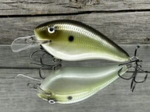 Black Label Balsa - Seducer - Custom Balsa Crankbait - Money Shad color