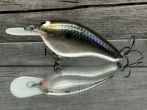 Black Label Balsa - Fat Flat - Custom Balsa Crankbait - Bad Shad color