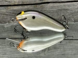 Black Label Balsa - Prowler Flat - Custom Balsa Squarebill Crankbait - Gizzard Shad Pearl color