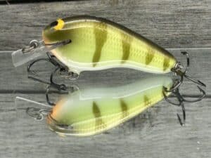 Black Label Balsa - Prowler Flat - Custom Balsa Squarebill Crankbait - Faded Perch color