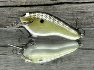 Black Label Balsa - Prowler Flat - Custom Balsa Squarebill Crankbait - Money Shad color