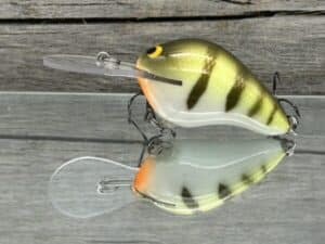 Black Label Balsa - Wreck Deep - Custom Balsa Crankbait - Faded Perch color